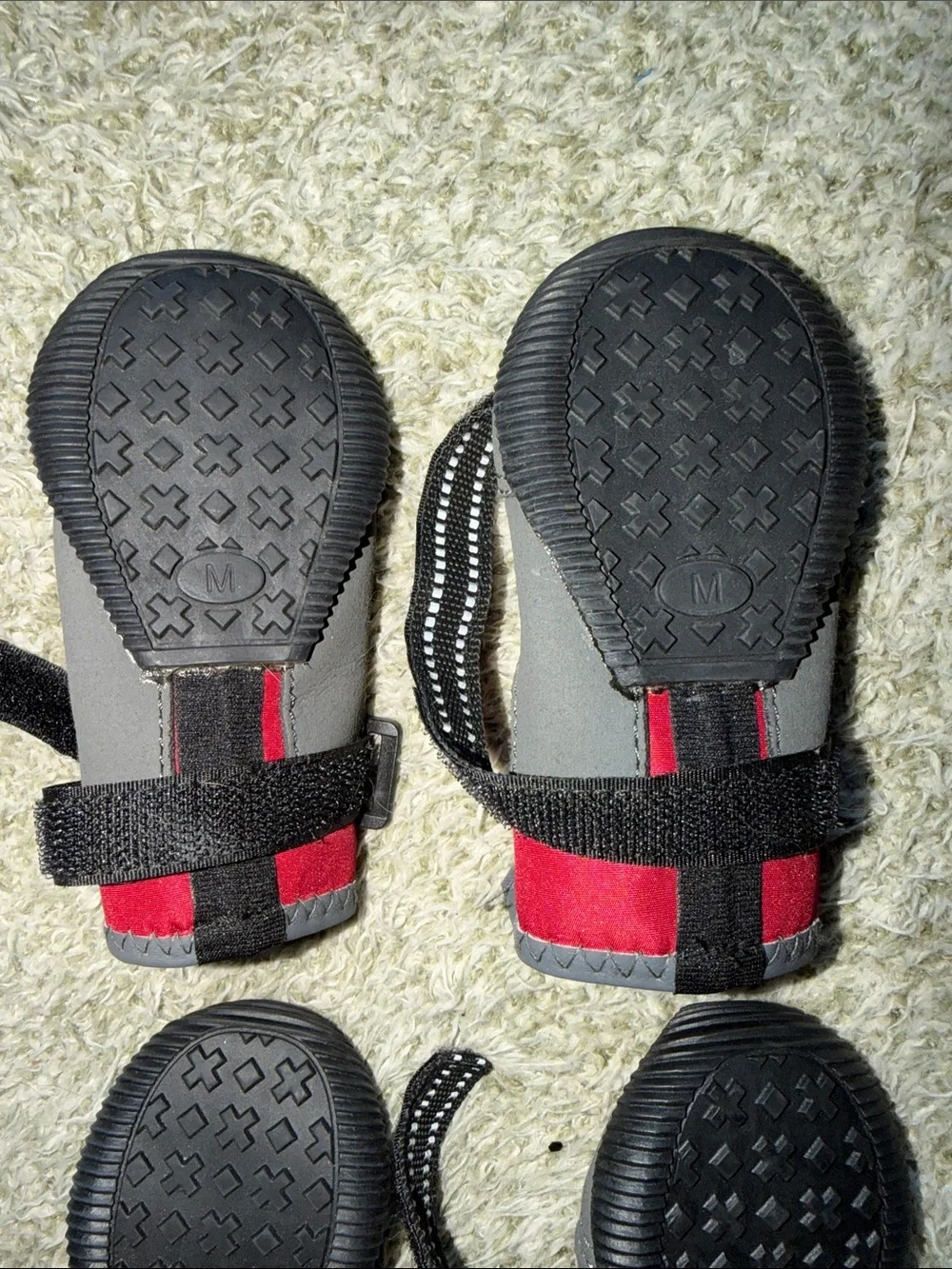 Top Paw durable dog